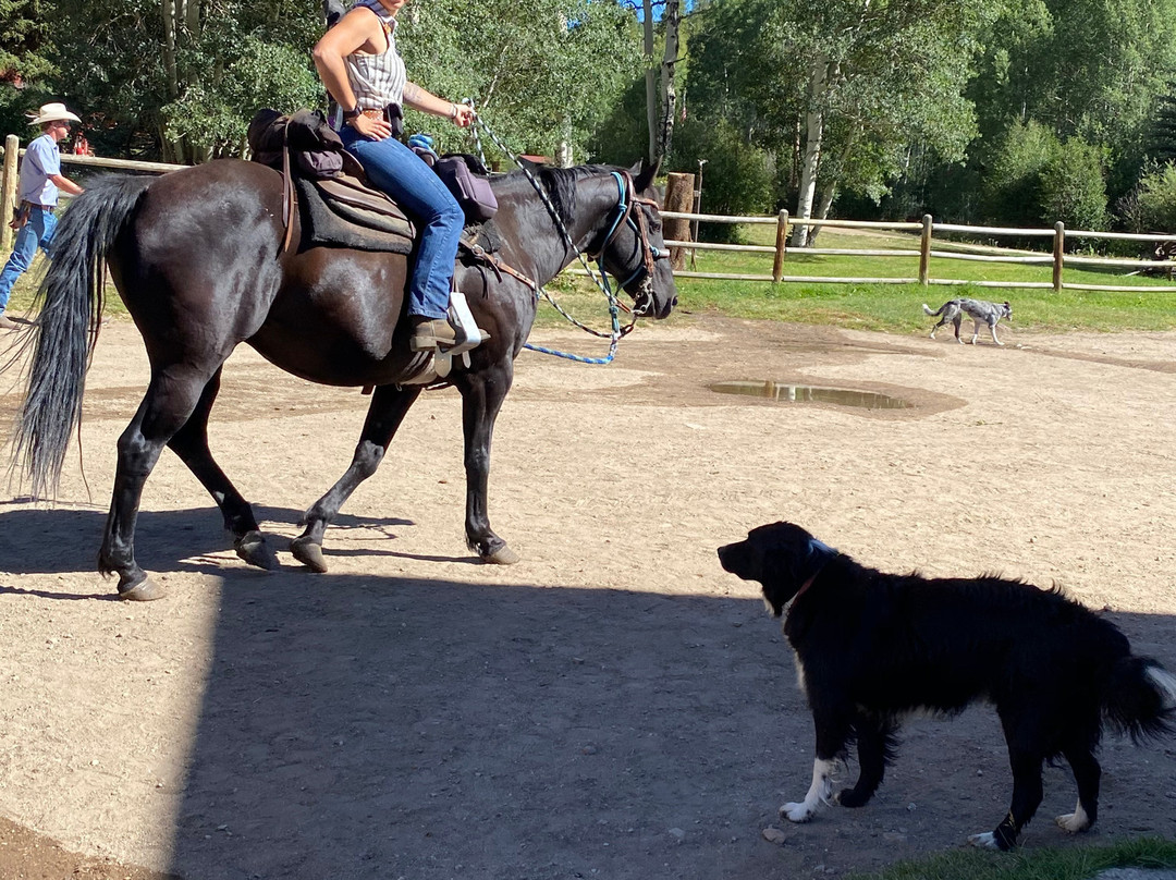 Drowsy Water Ranch主图