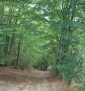 Devantave旅游攻略图片