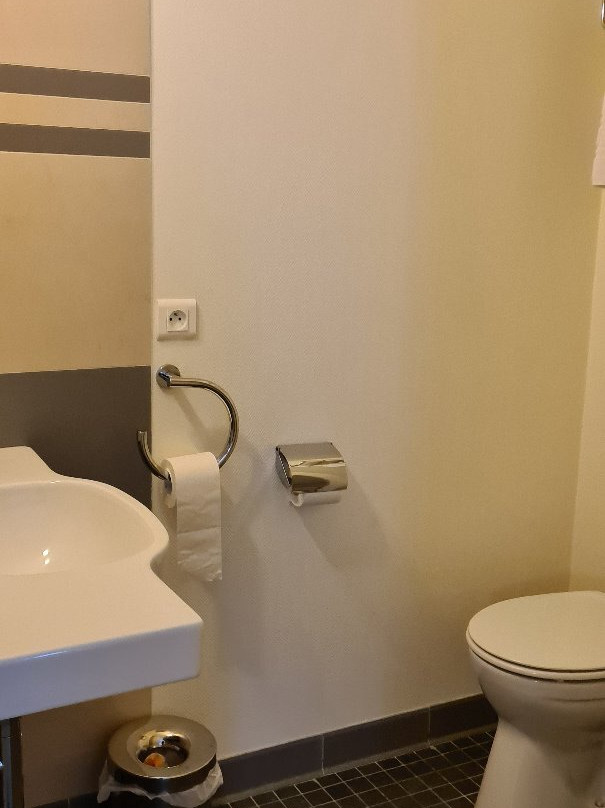 Logis Hôtel De France Pamiers主图