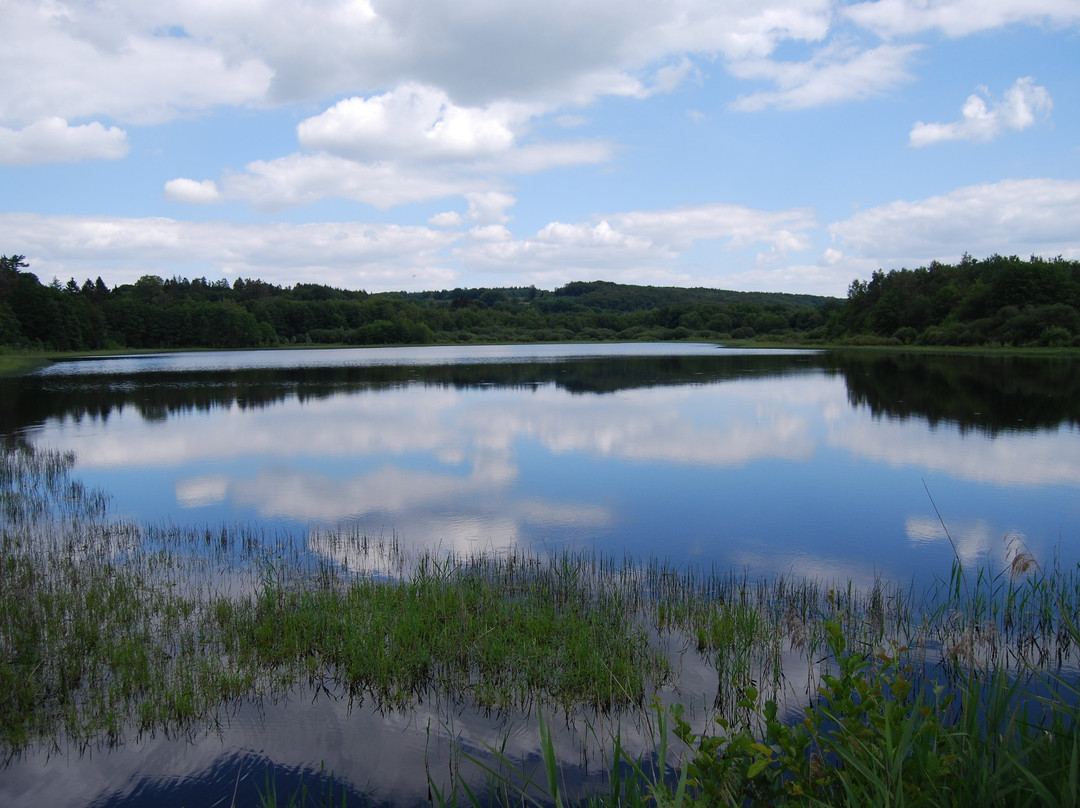 Etang Taureau景点图片