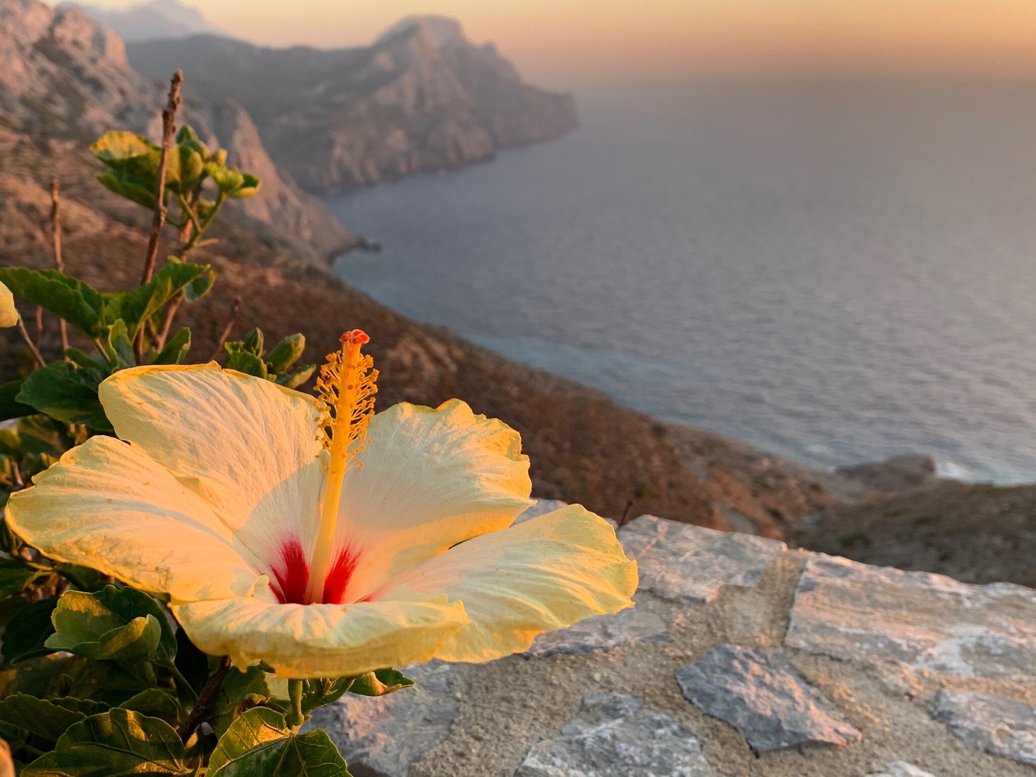Hotel Olympos Archipelagos-官方