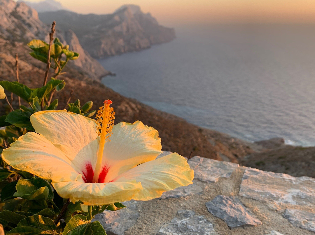 Hotel Olympos Archipelagos主图