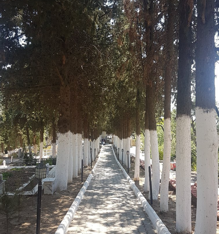 İmam-i Birgivi Mehmet Efendi Türbesi-Birgi必去景点