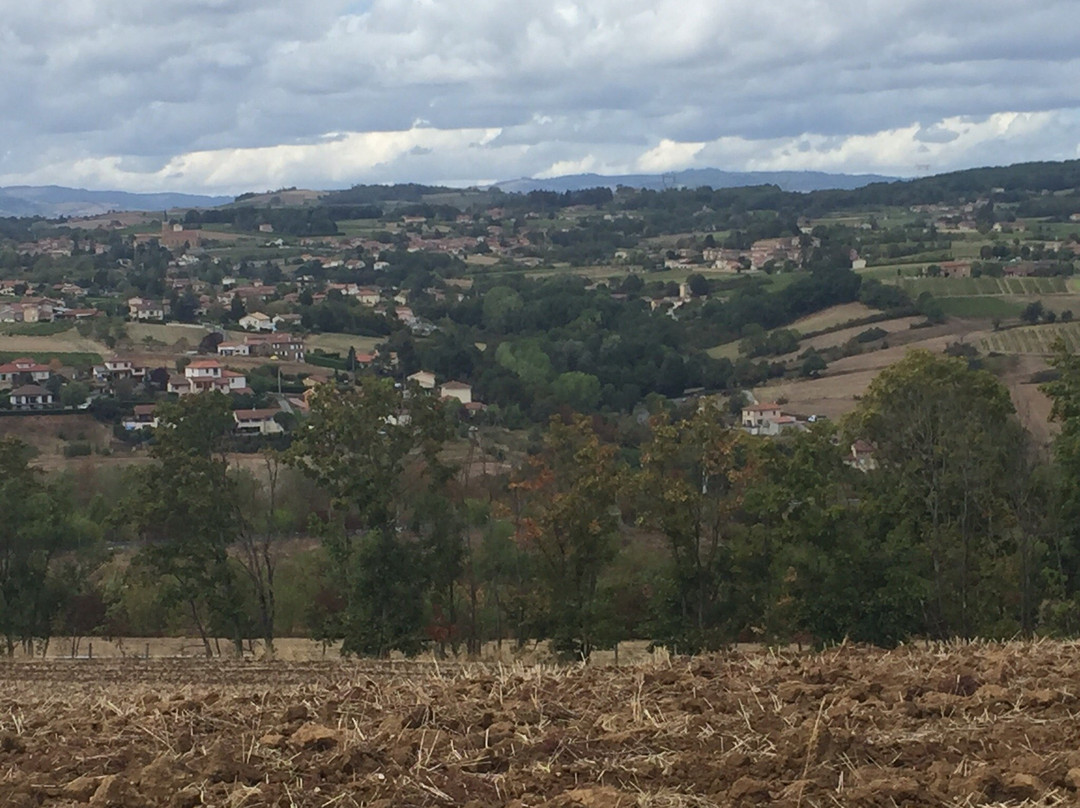 Fleurieux-sur-l'Arbresle旅游攻略图片