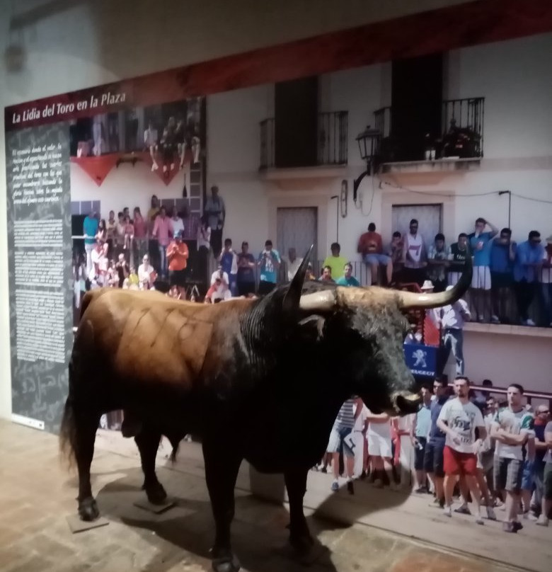 Museo de la Carcel Real景点图片