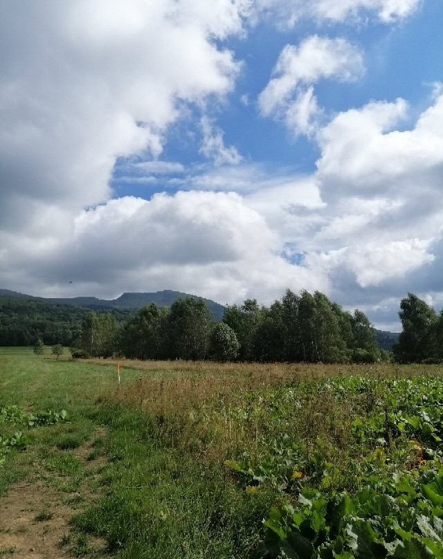 Tarnica-Ustrzyki Gorne必去景点