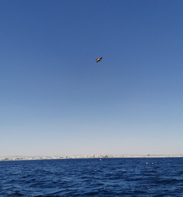 Zenobia Divers-拉纳加必去景点