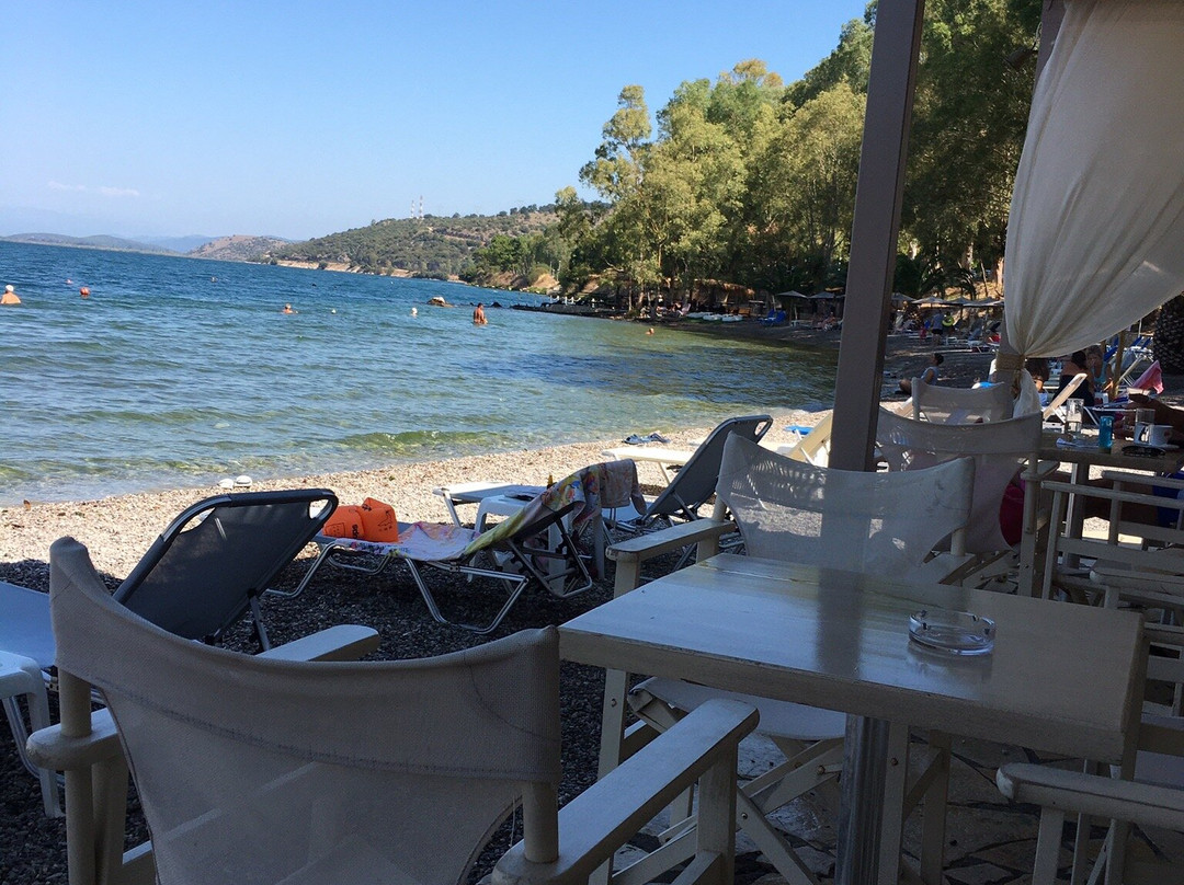 Amfilochia Port-Amfilochia必去景点