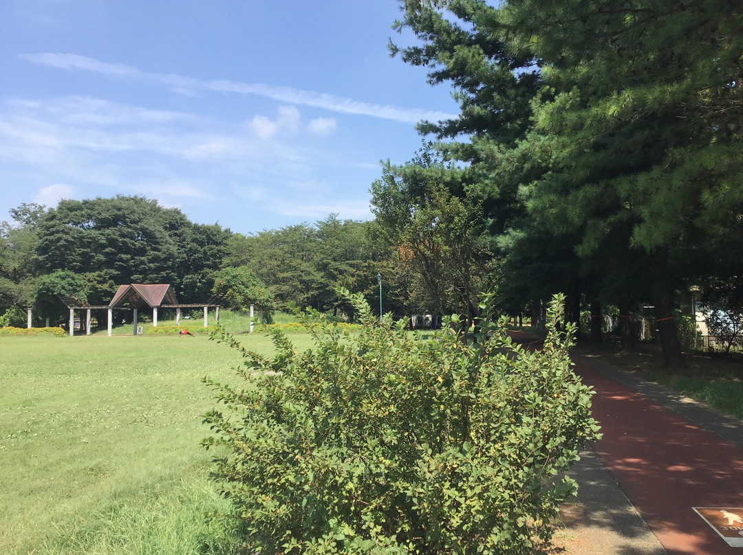 Sai-no-mori Iruma Park-入间市必去景点