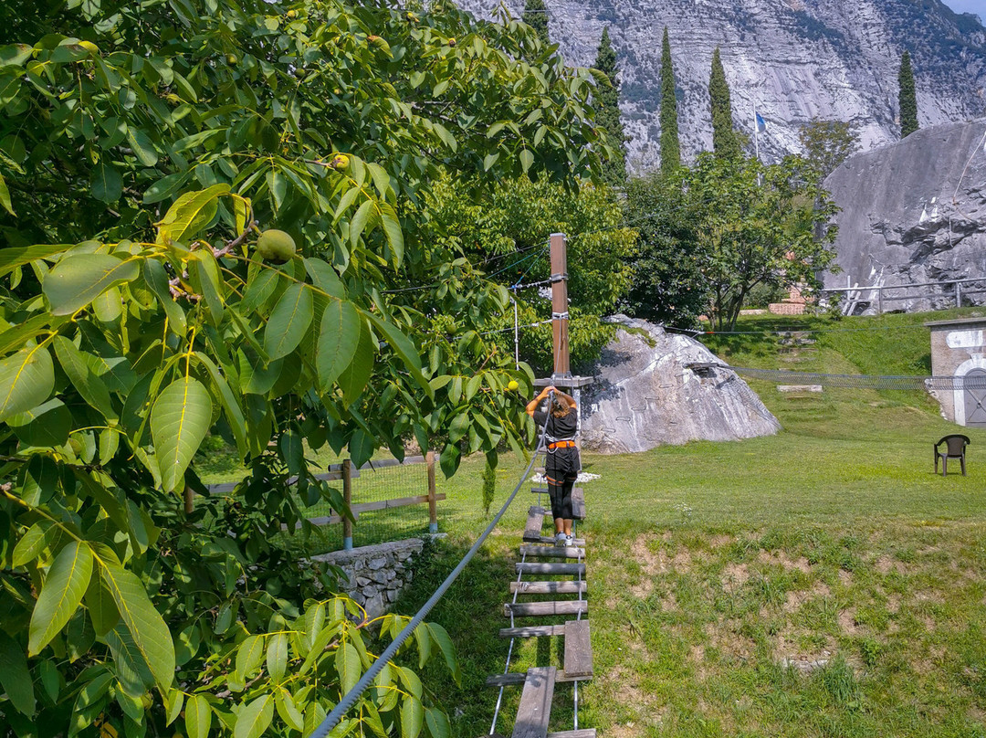 Elias Adventure Park景点图片