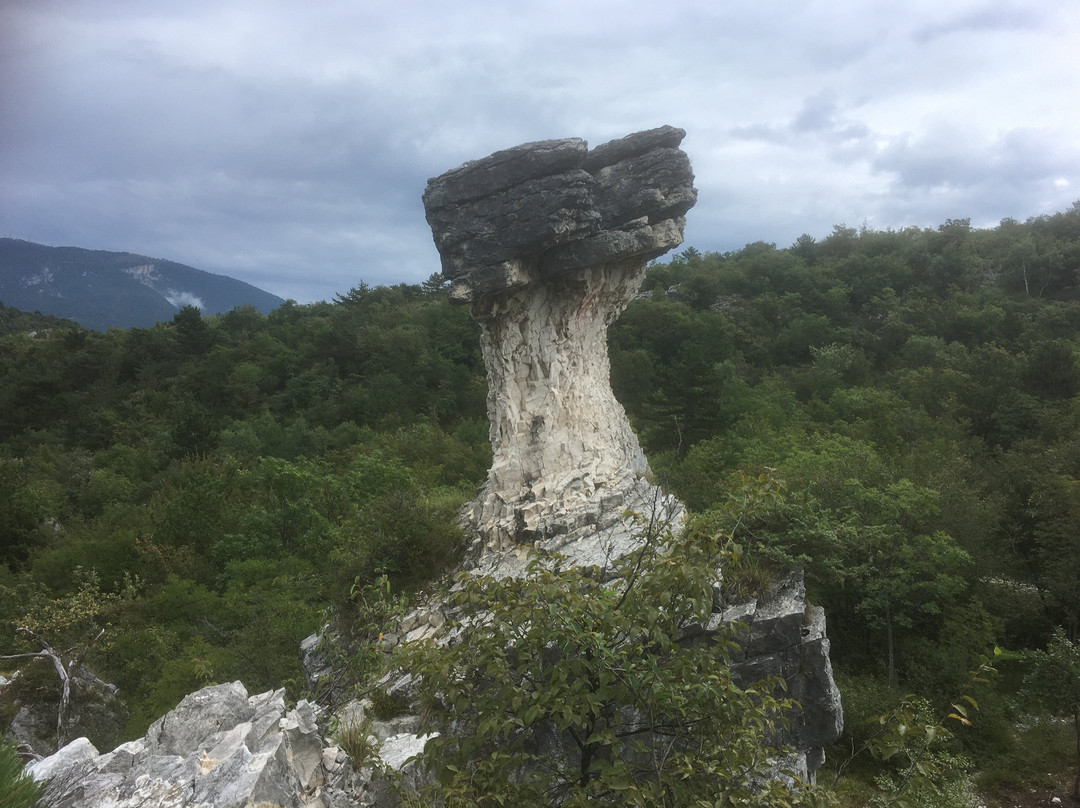 Fungo di Albaredo景点图片