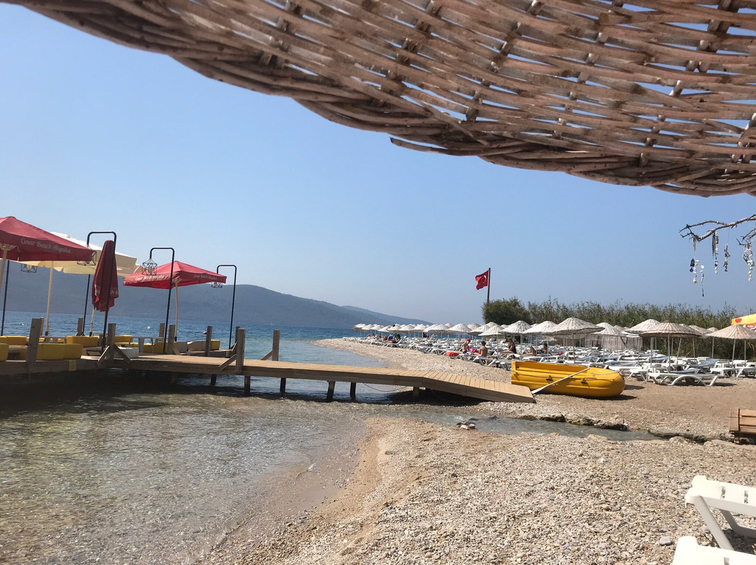 Cınar Plajı景点图片