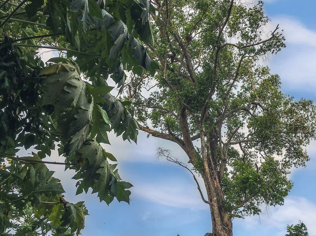 Candi Petirtaan Sumberbeji-Jombang必去景点