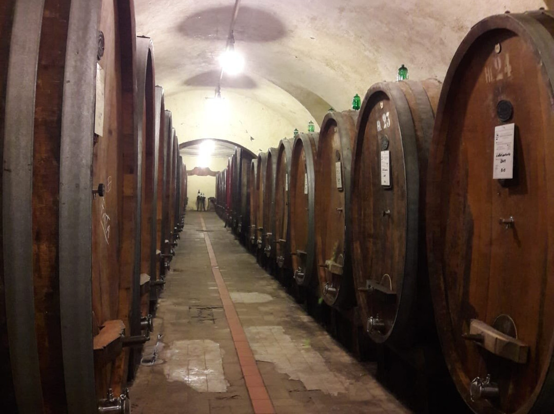 Tenuta di Capezzana主图