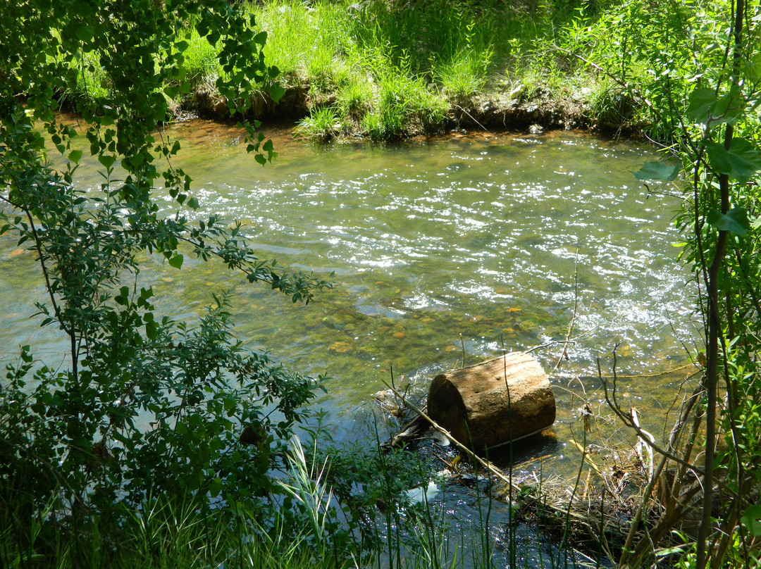 J Bar T Ranch Bed and Breakfast主图