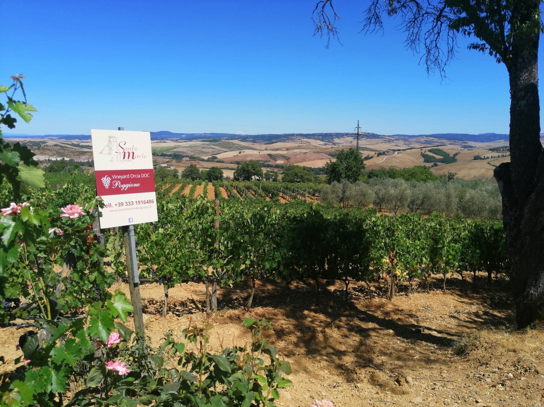 Azienda Agricola Sante Marie di Vignoni-圣奎里科多尔恰必去景点