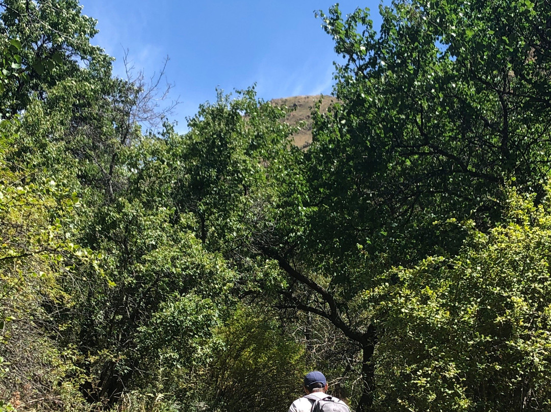 Turgenskiy Medvezhiy Waterfall-Almaty Region必去景点