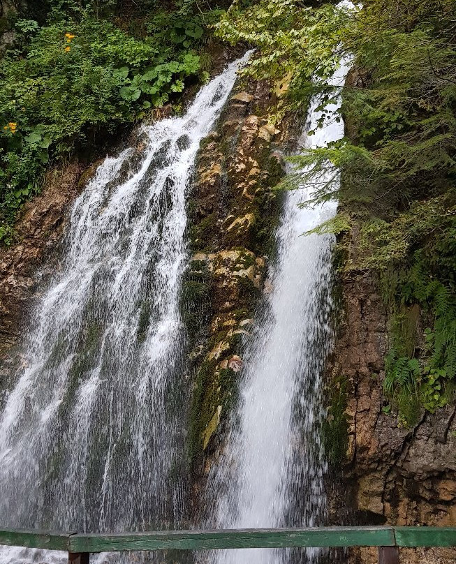 Cascada Urlatoarea景点图片