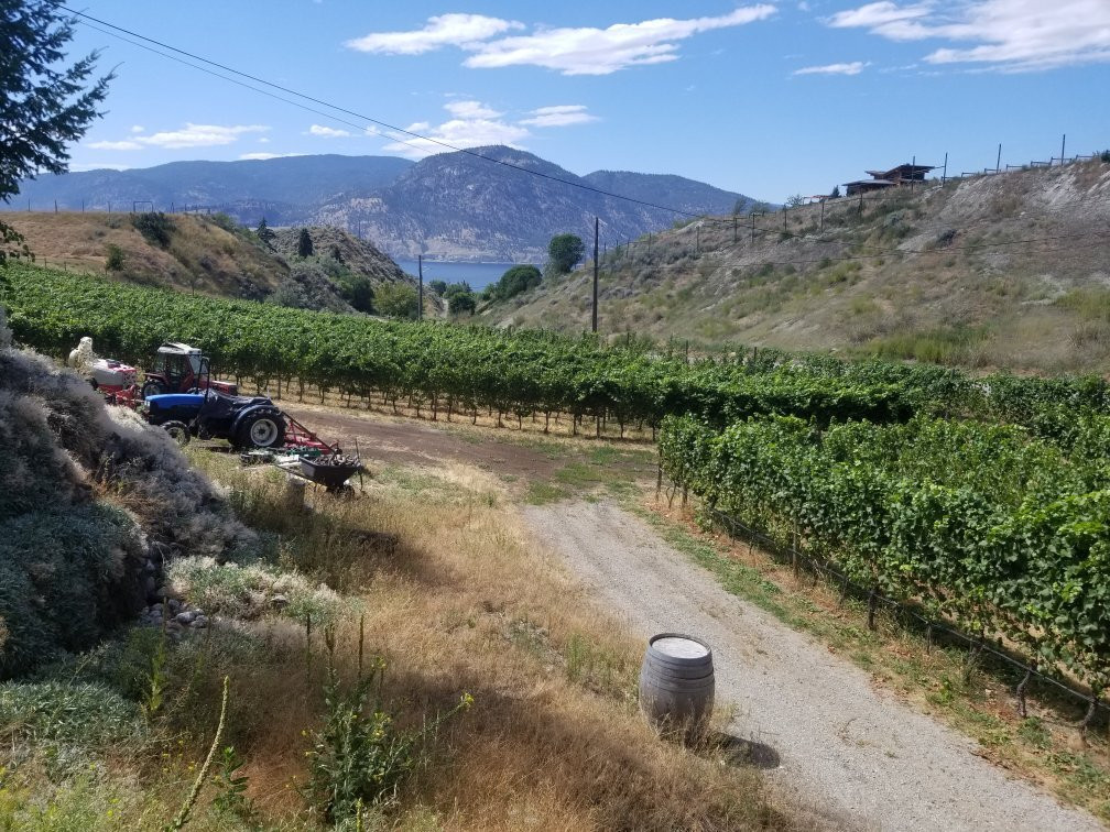 Howling Bluff Estate Winery-彭蒂克顿必去景点