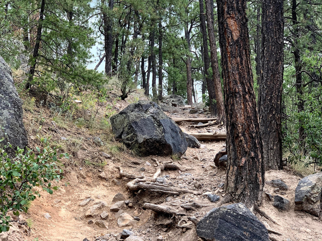 McCauley Warm Springs-Jemez Springs必去景点