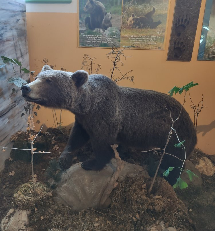 Centro Permanente Della Flora e Della Fauna Alpina景点图片