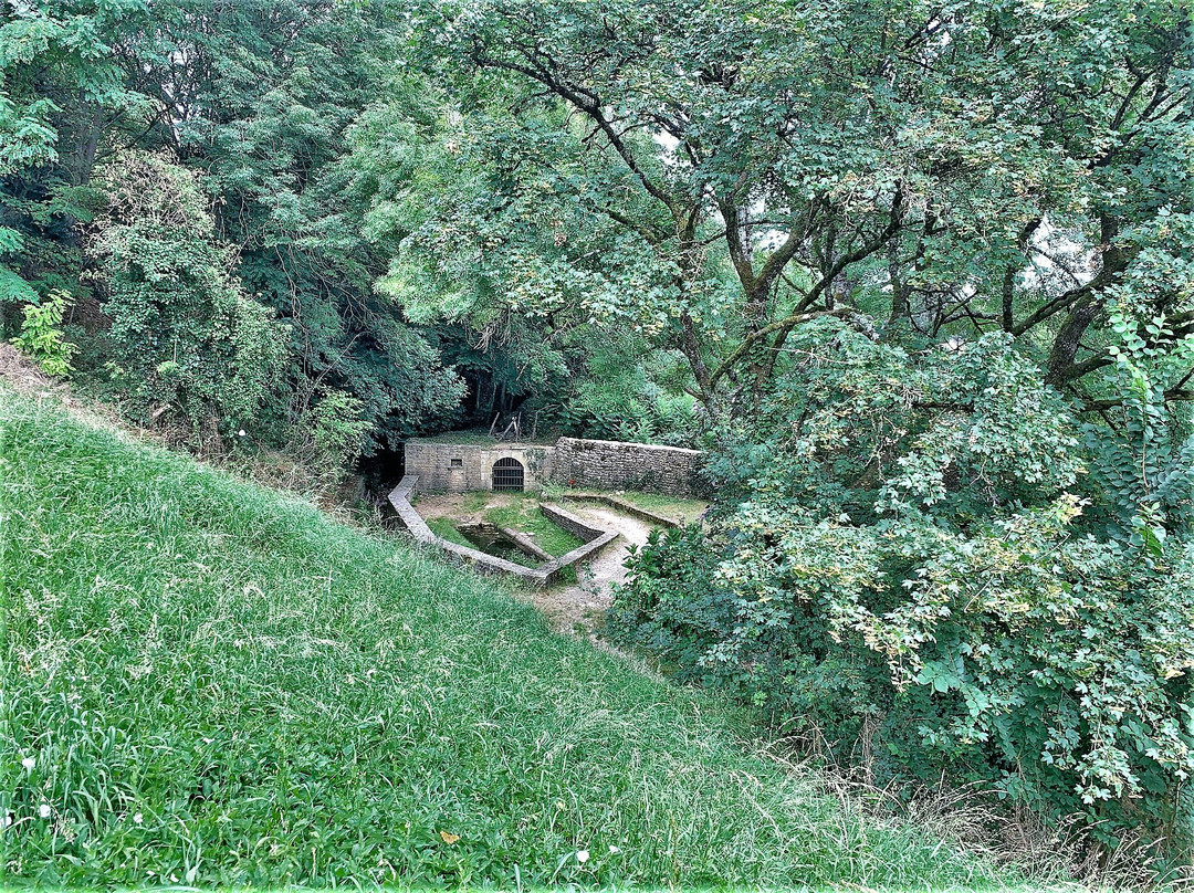 Riviere Souterraine de Champdeniers