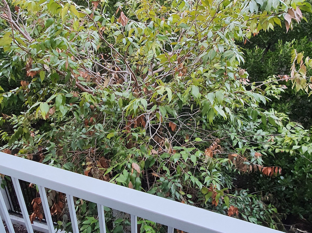 波特海滨汽车旅馆主图