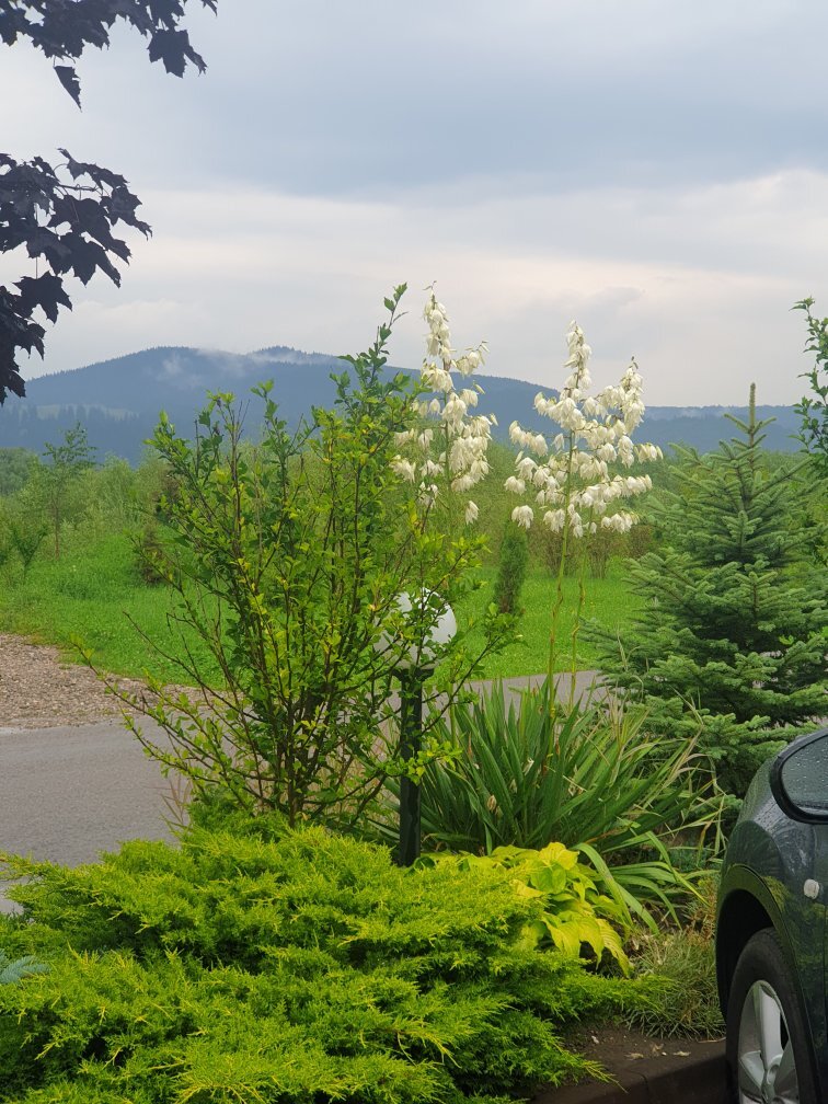 La Conac in Bucovina-官方