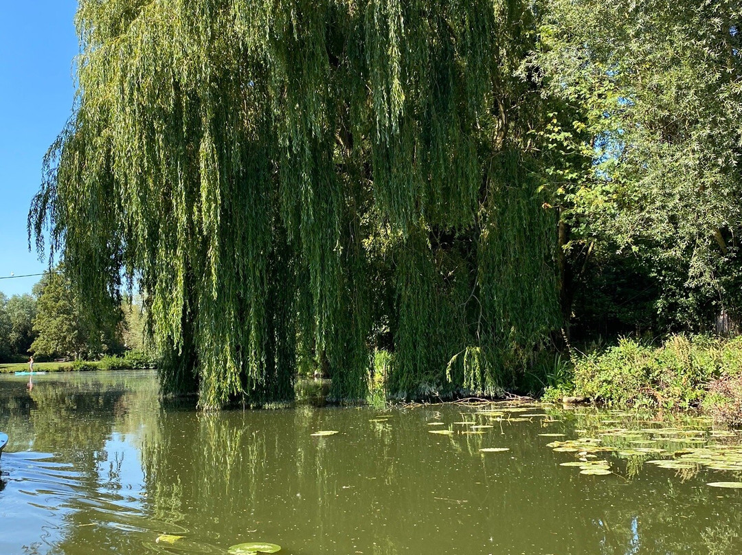 Marais de l'Audomarois景点图片