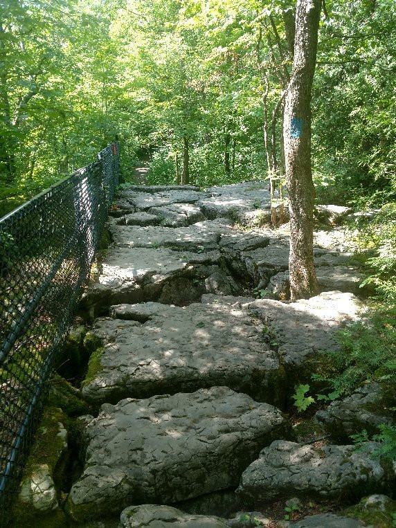 Clark Reservation State Park-Jamesville必去景点