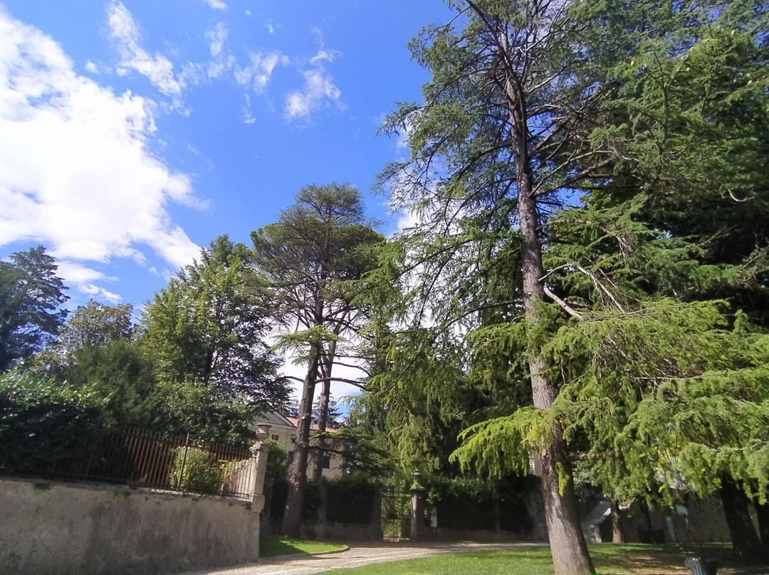 Castello di San Daniele - Villa Ticozzi de' Concina景点图片