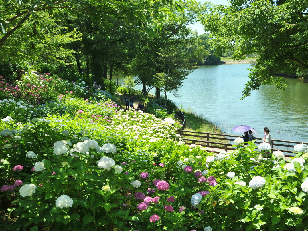 Sanuki Manno Park-满浓町必去景点