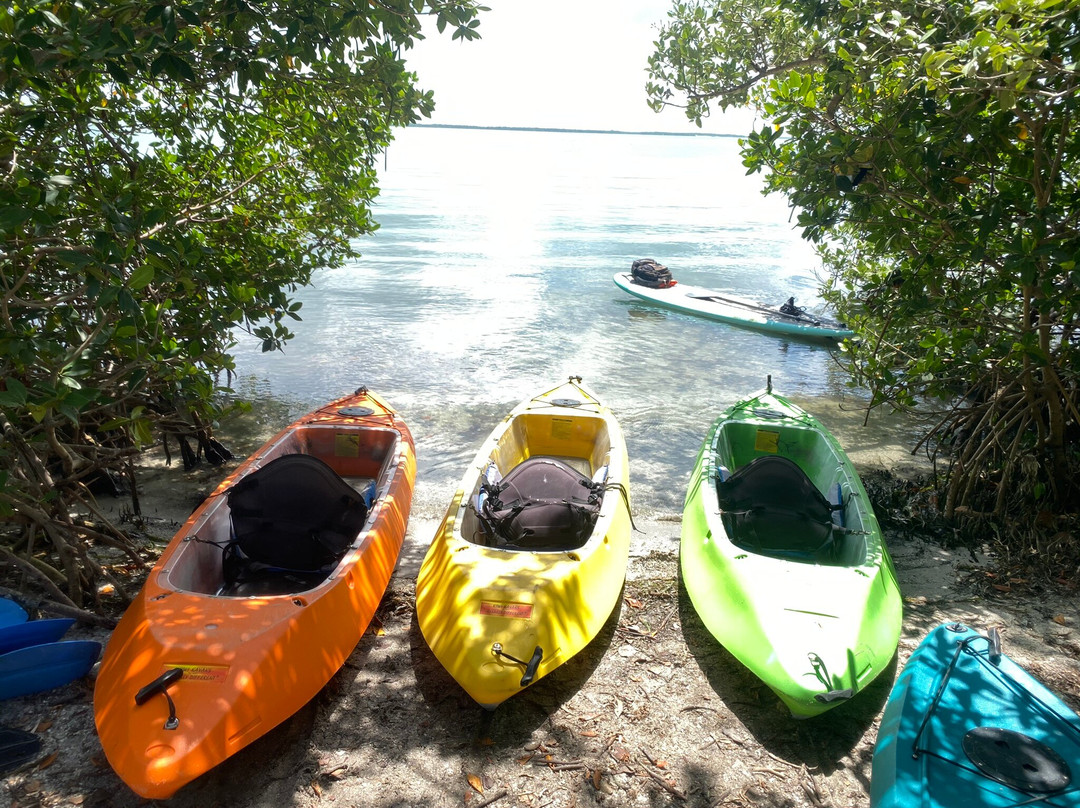 Glass Bottom Rentals-Placida必去景点