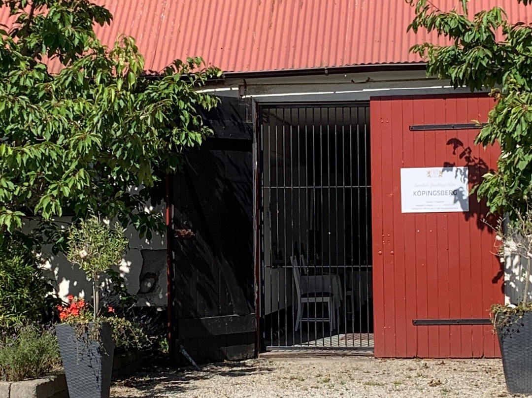 Köpingsbergs Vingård景点图片