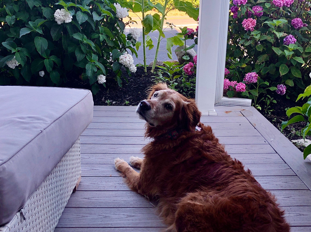 Hotel Manisses主图