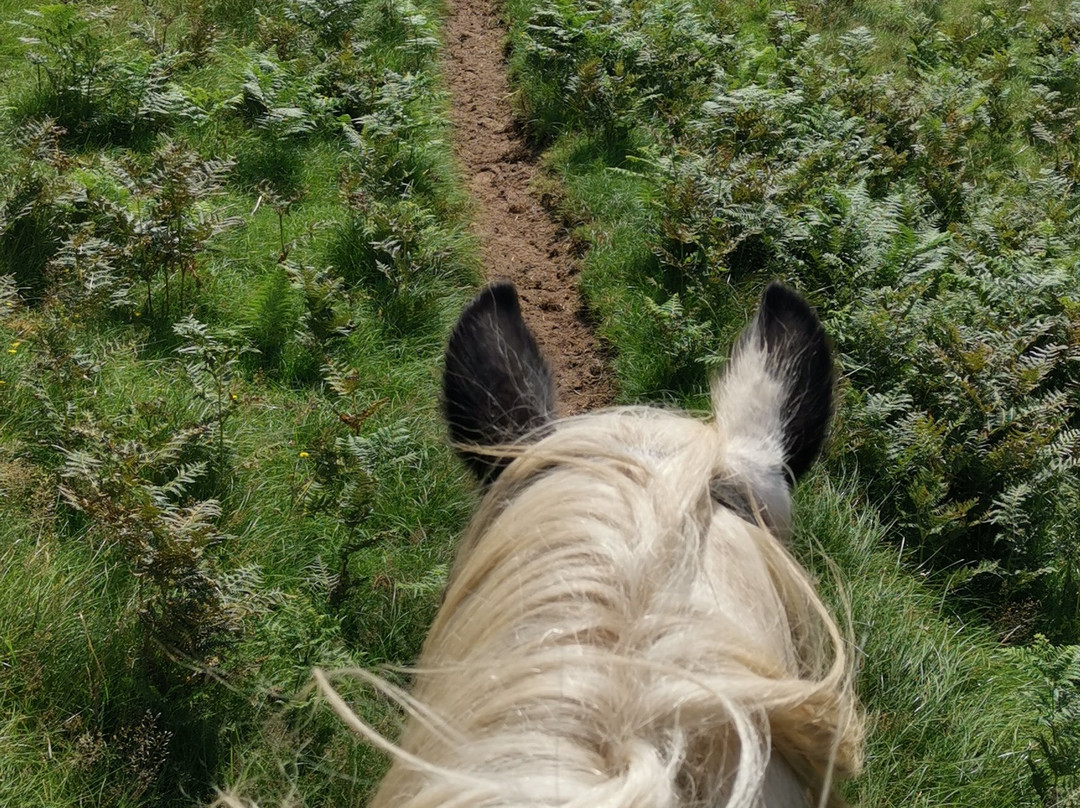 Hoofin-About Horse Riding Holidays-考文垂必去景点