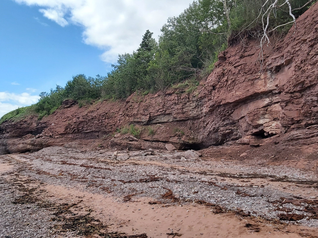 Gaspe Peninsula-Gaspesie Region必去景点