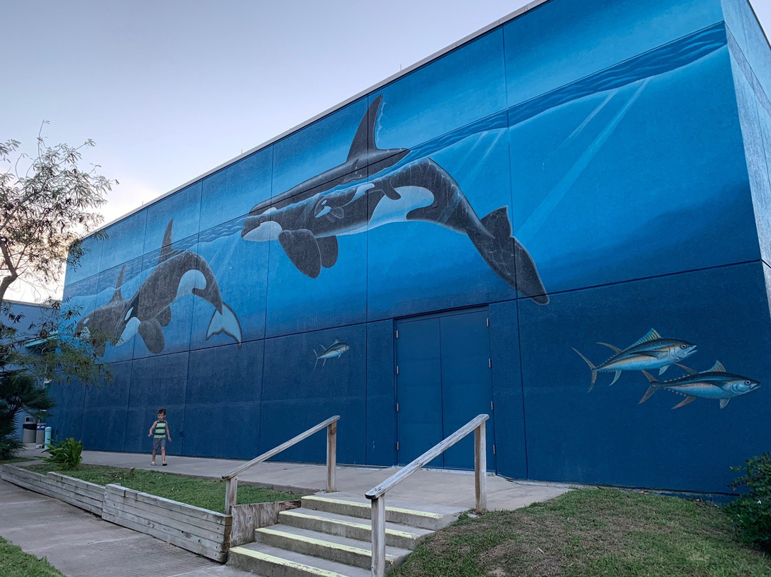 Wyland's Whaling Wall-南帕诸岛必去景点