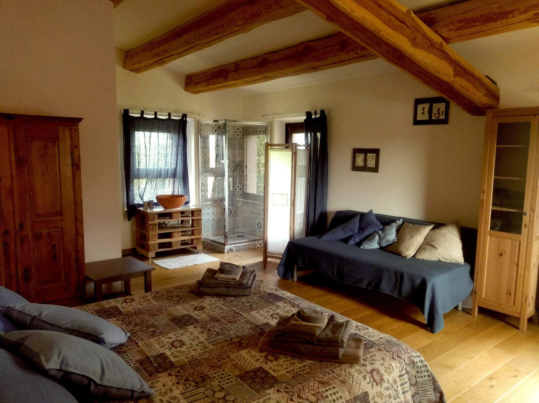 Il Gallo Silvestre - Bed & Books主图