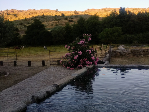 Velosa旅游攻略图片