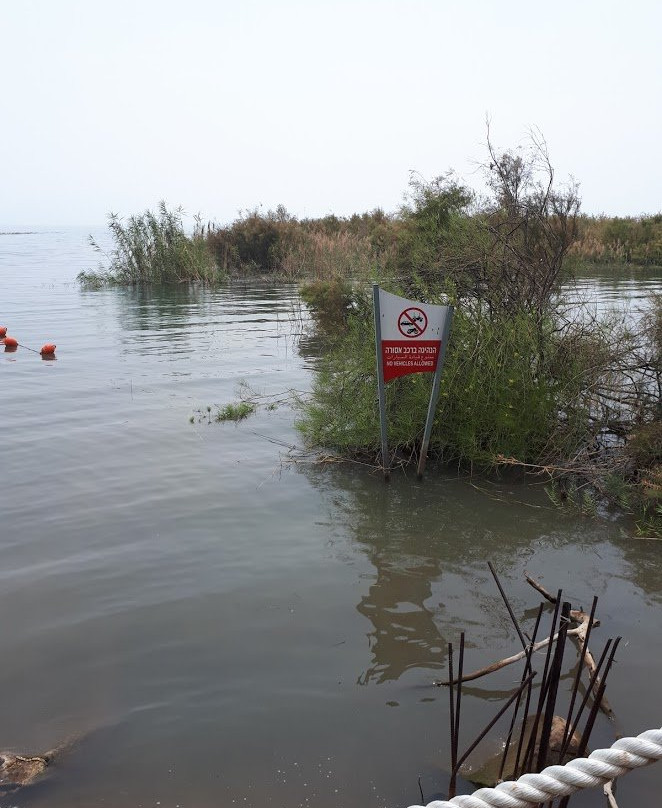 Isrotel Gomeh Hotel主图