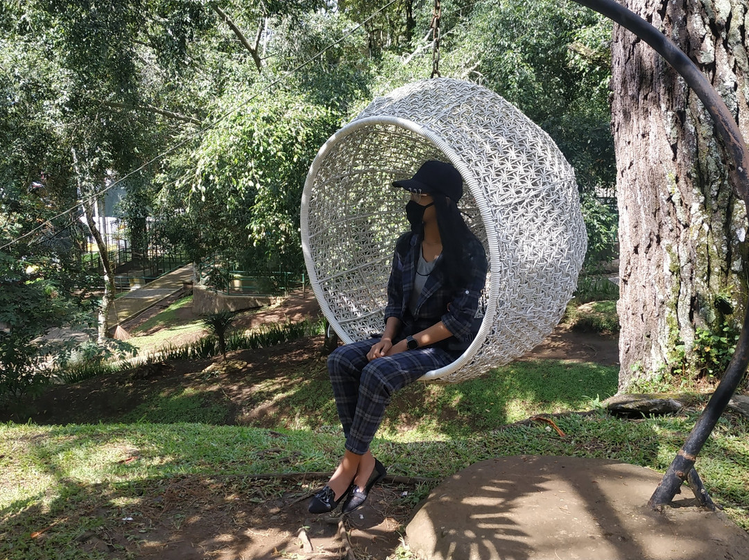 Limpapeh Bridge-武吉丁宜必去景点