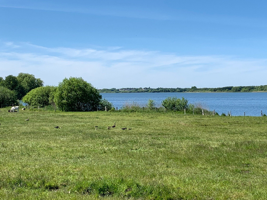 Fischerwiege am Passader See主图