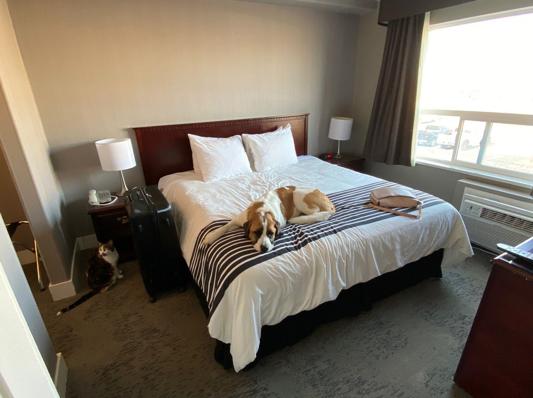 Sandman Hotel Saskatoon主图