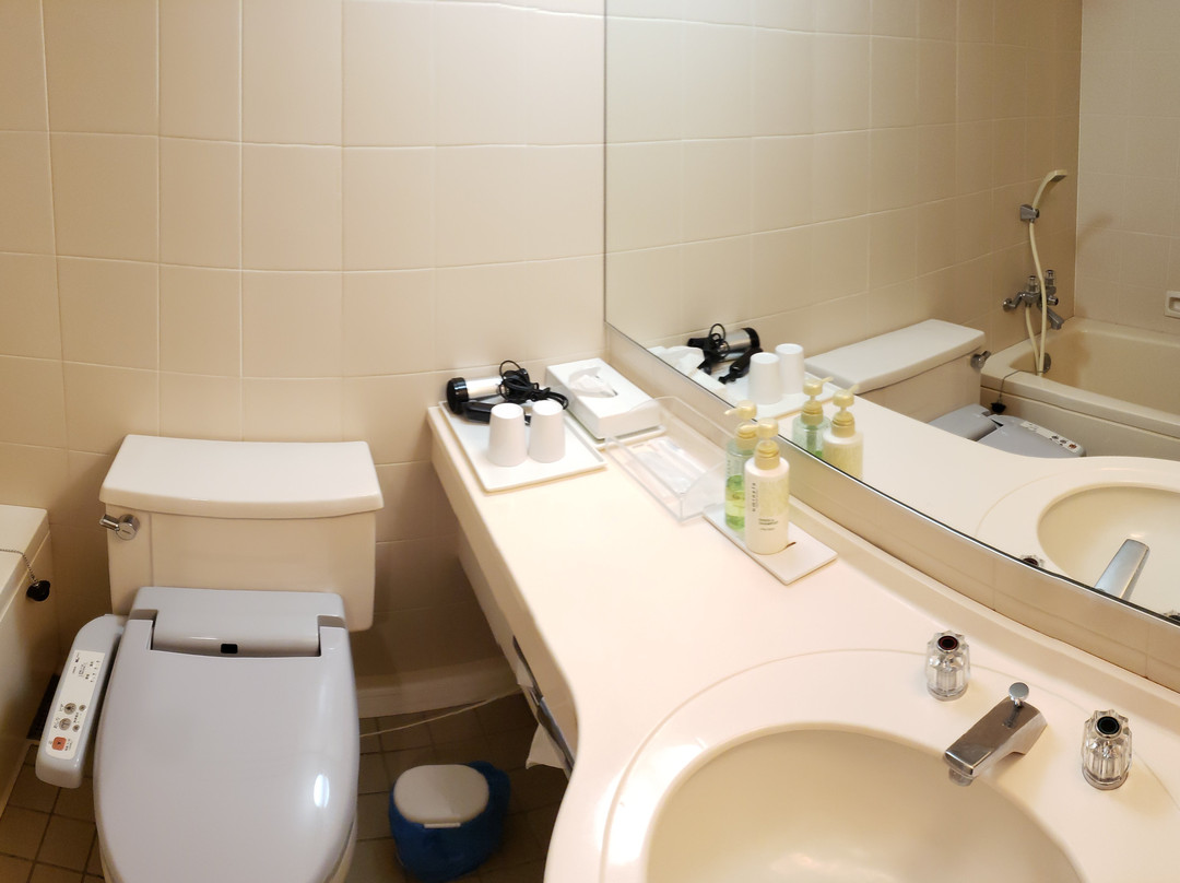 Hotel Toyotomi主图