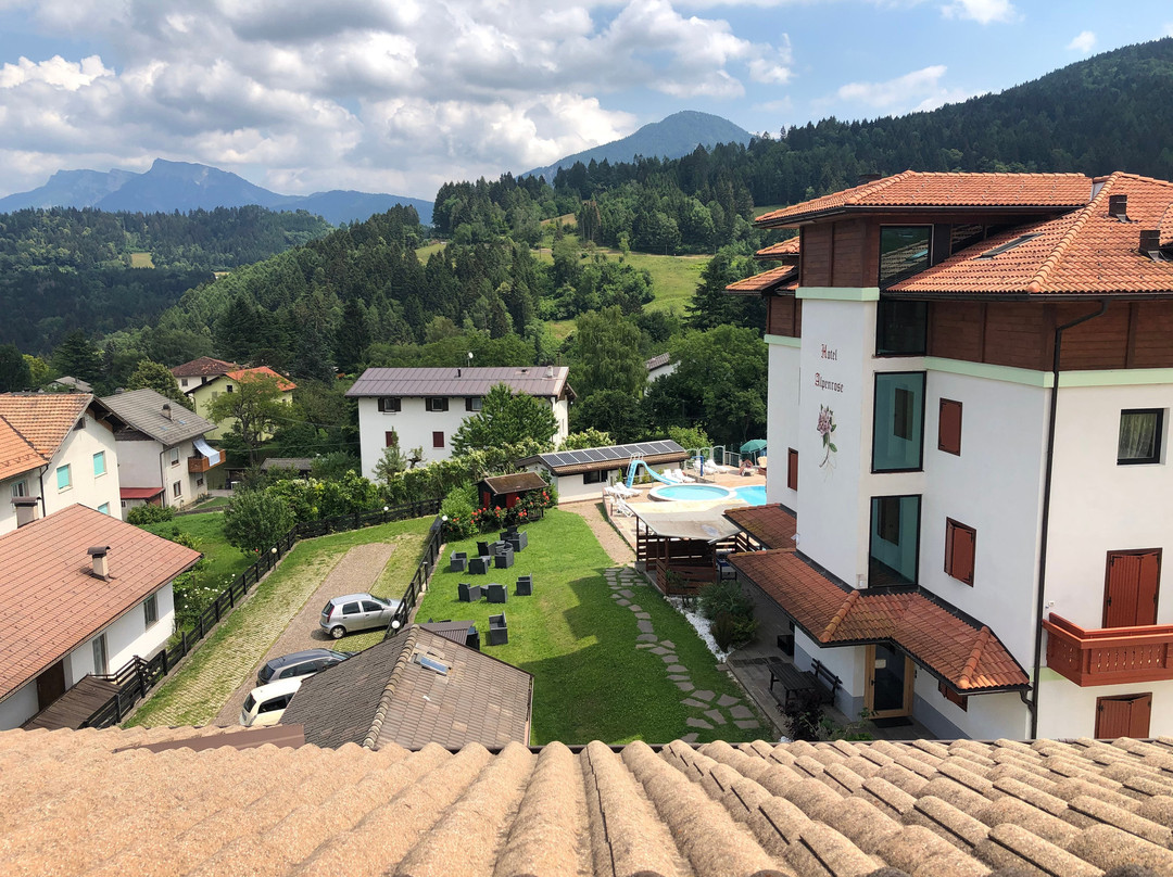 Hotel Alpenrose主图