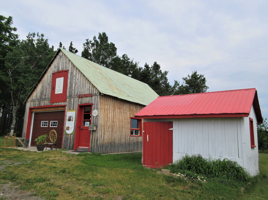 Ferme Fibres et Compagnie-Saint-Alexandre-de-Kamouraska必去景点
