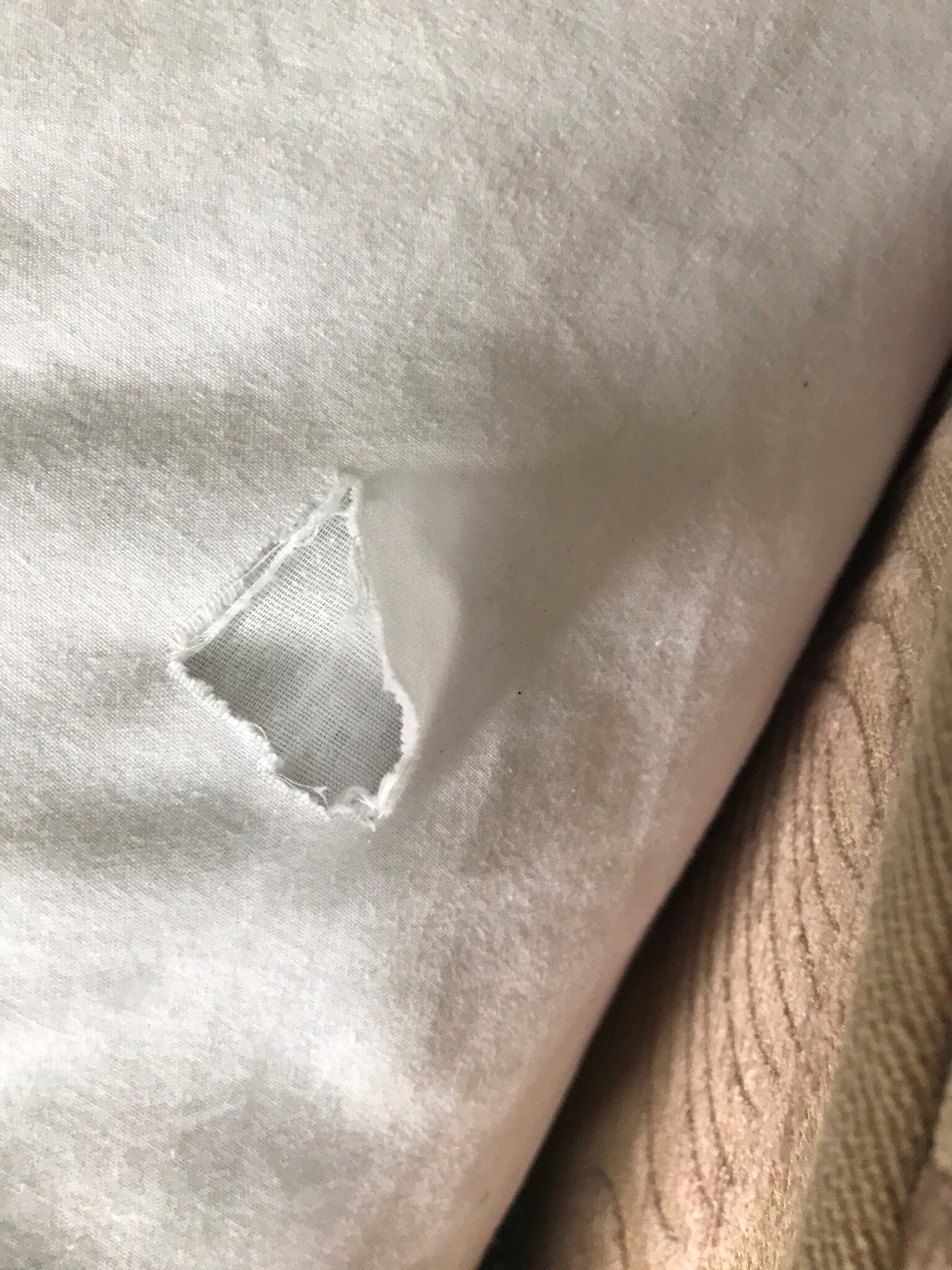 The Links Hotel-官方