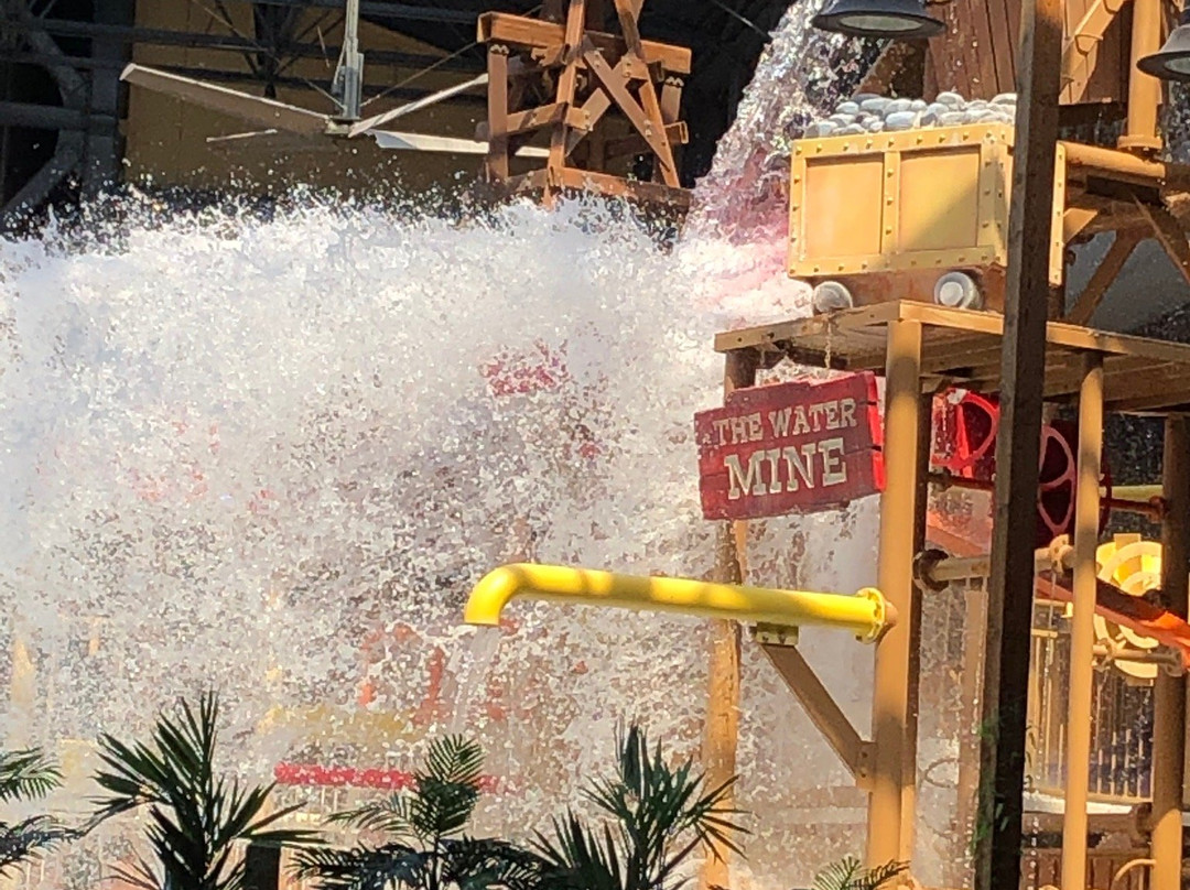 Silver Rapids Indoor Waterpark景点图片