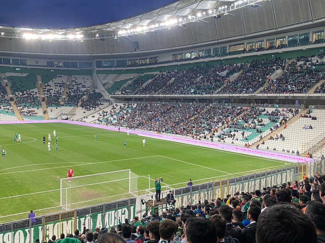 Timsah Arena Stadyumu景点图片